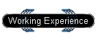 Working Experience
